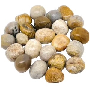 Coral Jade
