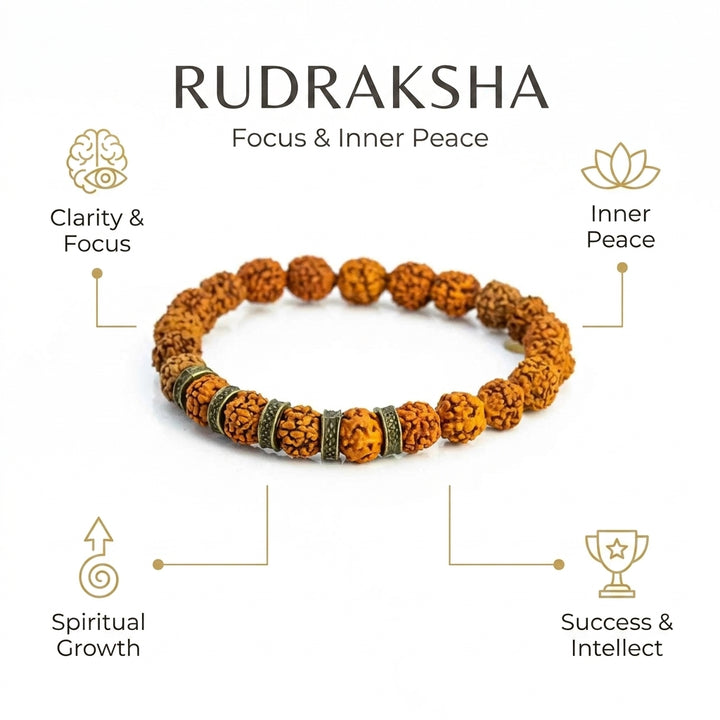 Rudraksh bracelet 2 for success, memory & intellect - Infographic