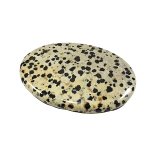 Dalmatian Jasper