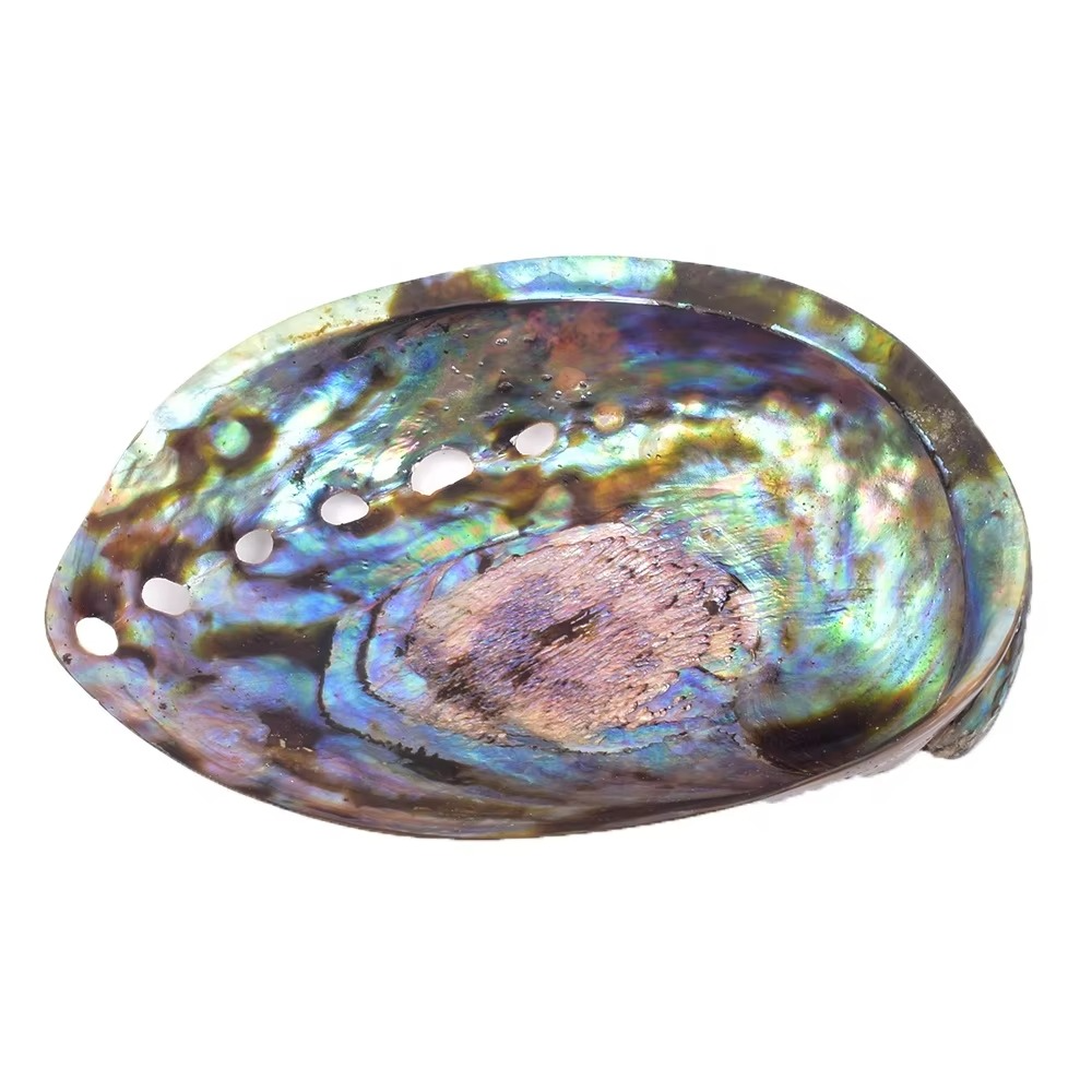 Abalone Shell for Smudging  by Raw Spiritual