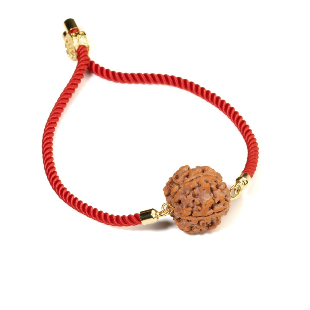 Rudraksh bracelet in Sacred Red Thread for success, memory & intellect Om Rudraksha Haridwar