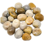 Coral Jade