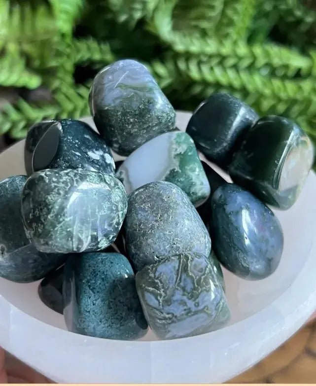 Moss Agate (Haqik) Tumbled Stones (Set of 4) Yiwu Shanmei Jane