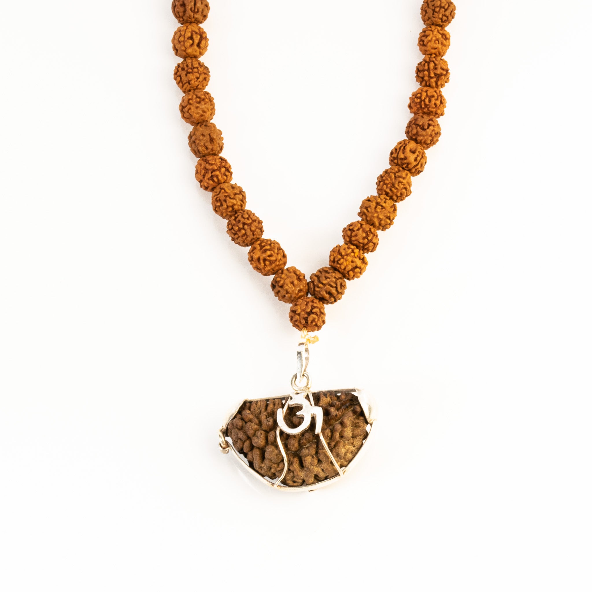 Certified 1 Mukhi Rudraksha with 5 Mukhi Mala 108 beads for growth and success